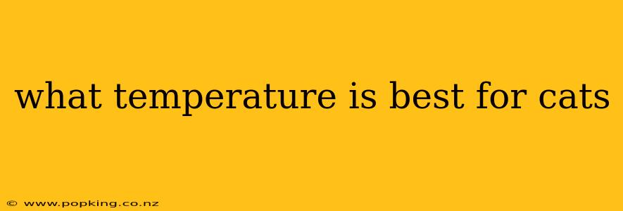 what temperature is best for cats