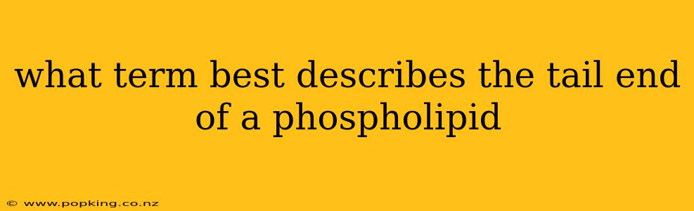 what term best describes the tail end of a phospholipid
