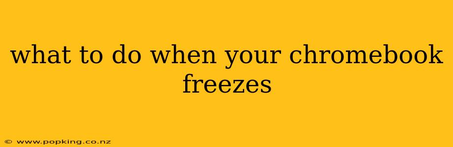 what to do when your chromebook freezes
