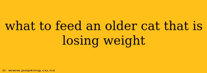 what to feed an older cat that is losing weight