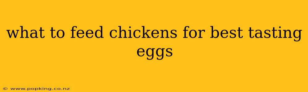what to feed chickens for best tasting eggs