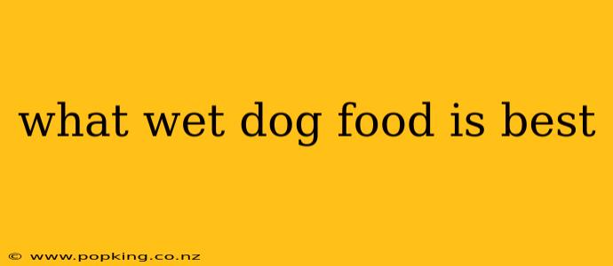 what wet dog food is best