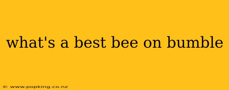 what's a best bee on bumble