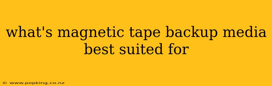 what's magnetic tape backup media best suited for