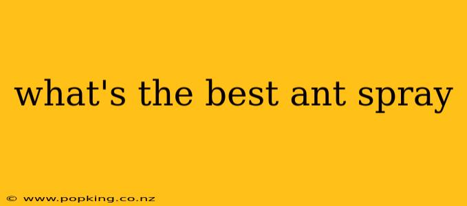 what's the best ant spray