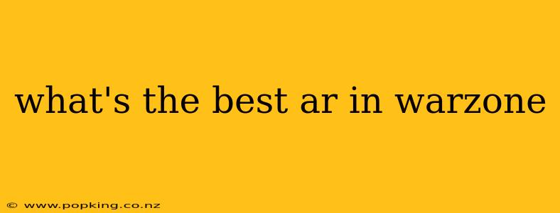 what's the best ar in warzone
