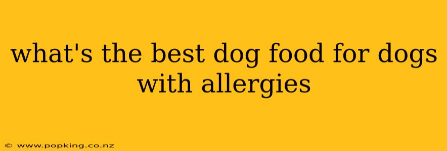 what's the best dog food for dogs with allergies