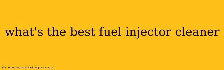 what's the best fuel injector cleaner