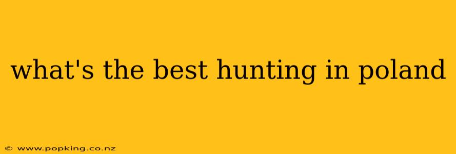 what's the best hunting in poland