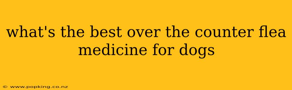 what's the best over the counter flea medicine for dogs