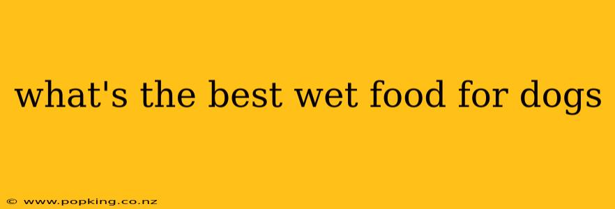 what's the best wet food for dogs