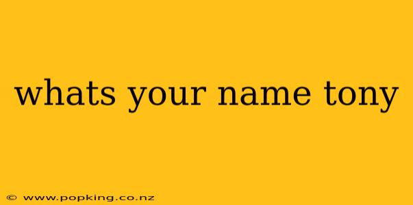 whats your name tony