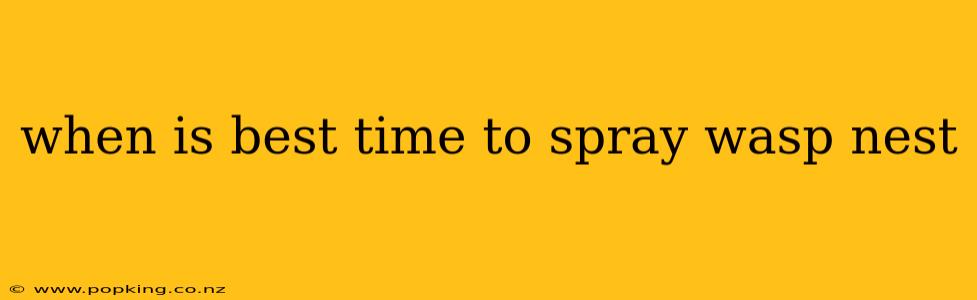 when is best time to spray wasp nest