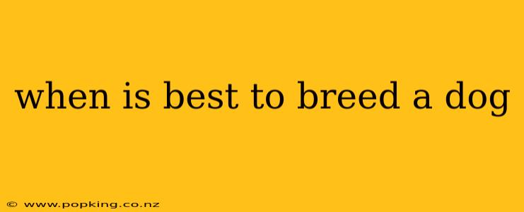 when is best to breed a dog