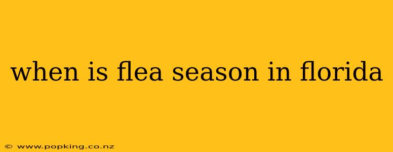 when is flea season in florida