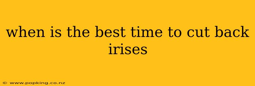 when is the best time to cut back irises