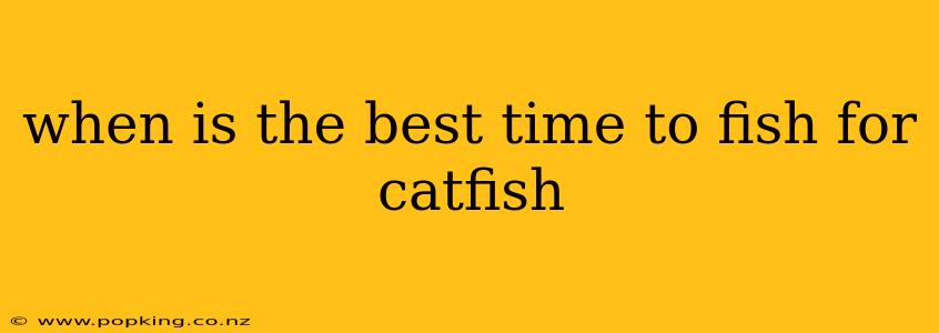 when is the best time to fish for catfish