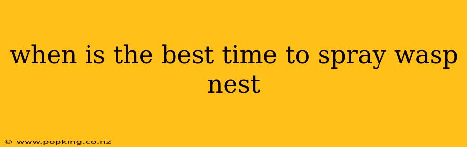 when is the best time to spray wasp nest