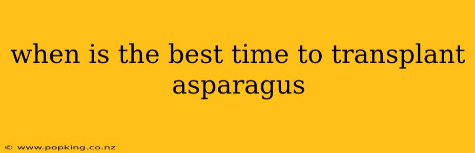 when is the best time to transplant asparagus