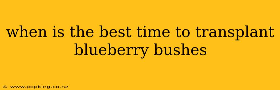 when is the best time to transplant blueberry bushes