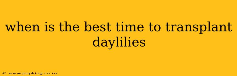 when is the best time to transplant daylilies