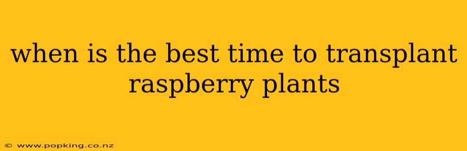 when is the best time to transplant raspberry plants