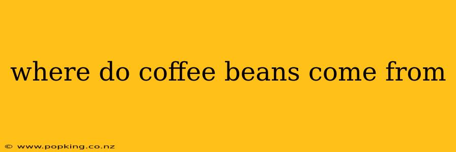 where do coffee beans come from
