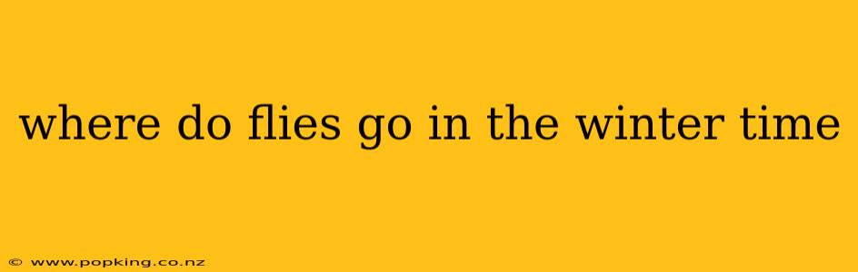 where do flies go in the winter time