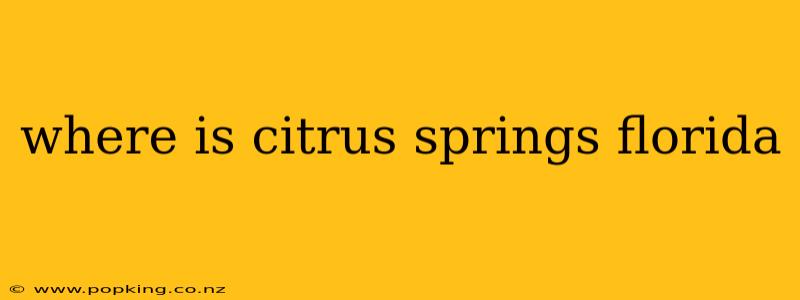 where is citrus springs florida