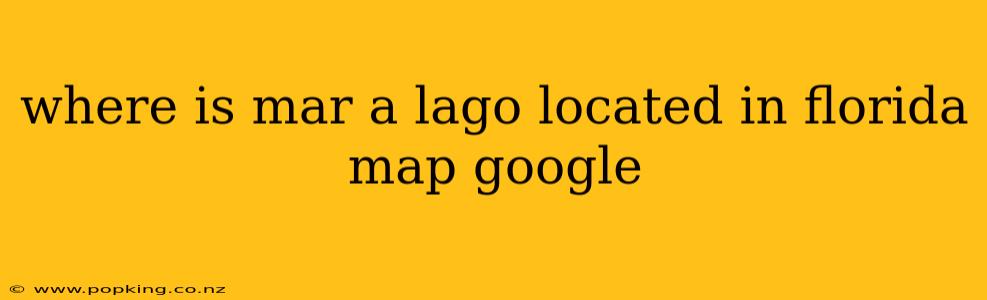 where is mar a lago located in florida map google