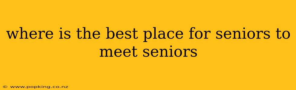 where is the best place for seniors to meet seniors