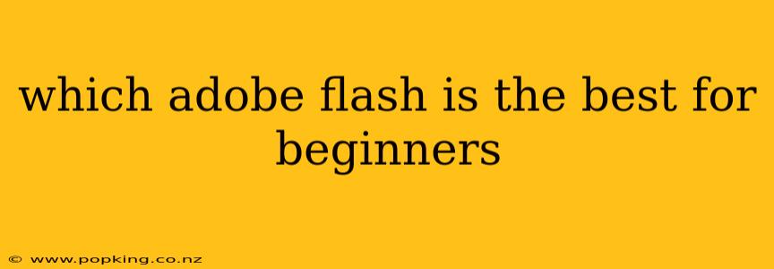 which adobe flash is the best for beginners