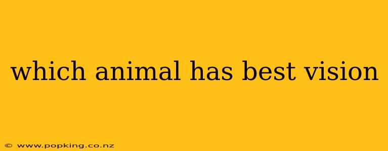 which animal has best vision