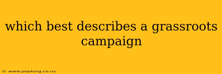 which best describes a grassroots campaign