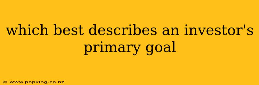 which best describes an investor's primary goal