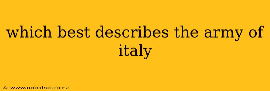 which best describes the army of italy