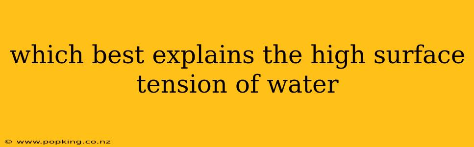 which best explains the high surface tension of water