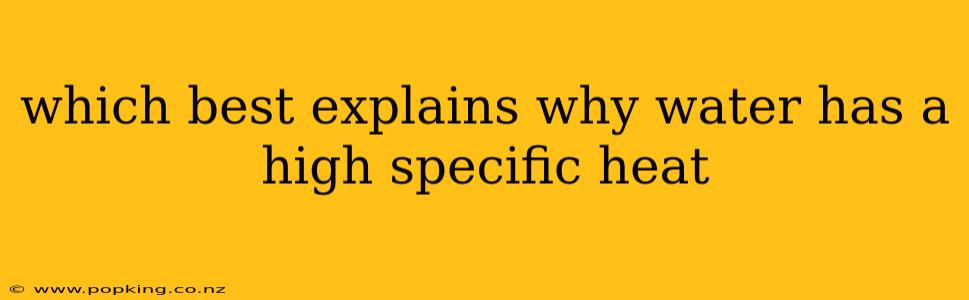 which best explains why water has a high specific heat