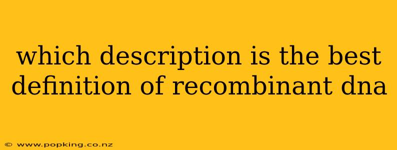 which description is the best definition of recombinant dna