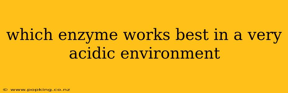 which enzyme works best in a very acidic environment