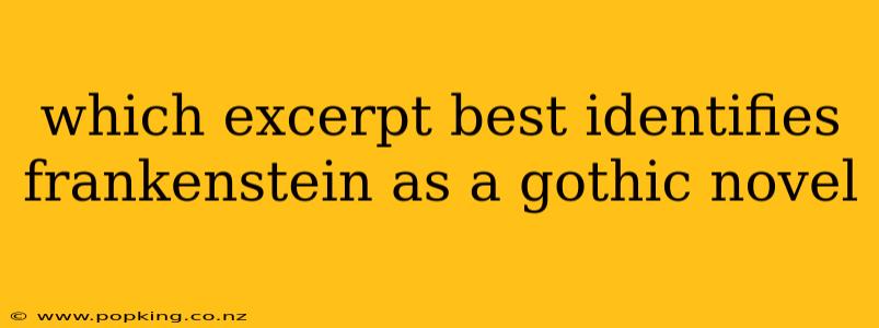 which excerpt best identifies frankenstein as a gothic novel