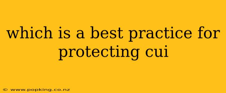 which is a best practice for protecting cui