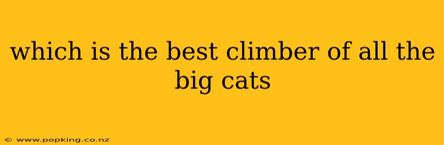 which is the best climber of all the big cats