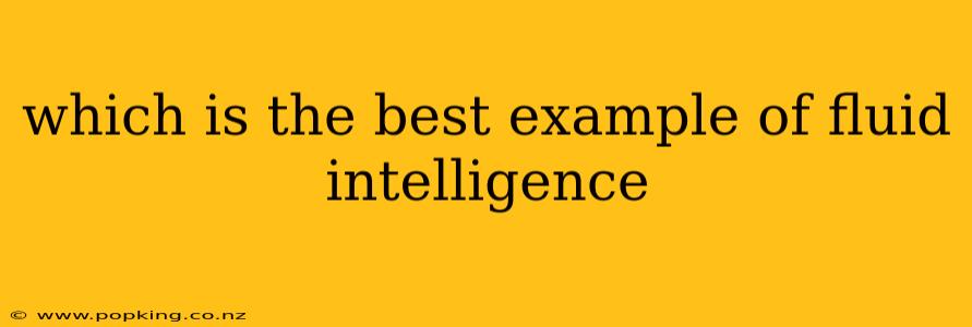 which is the best example of fluid intelligence