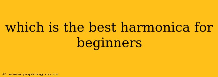 which is the best harmonica for beginners