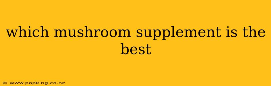 which mushroom supplement is the best