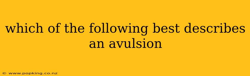 which of the following best describes an avulsion