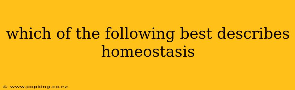 which of the following best describes homeostasis