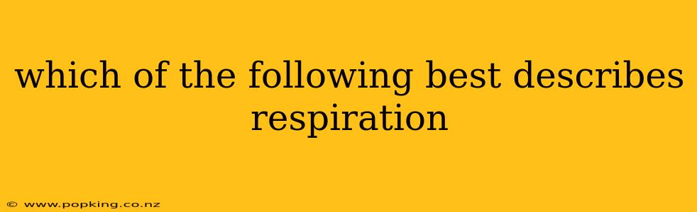 which of the following best describes respiration