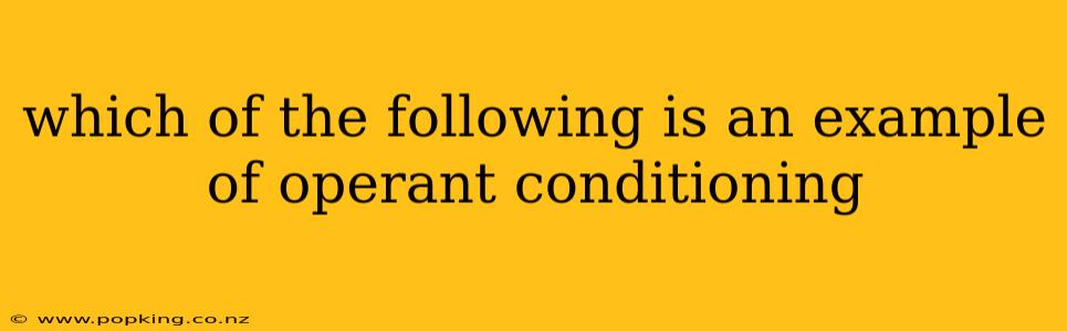 which of the following is an example of operant conditioning
